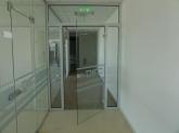 Frameless glass doors